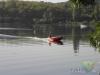 Activit nautique sur le lac