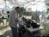 CQ DX