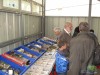 Stands intrieurs