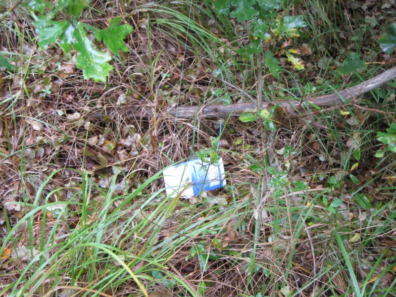 IMG_0830.jpg