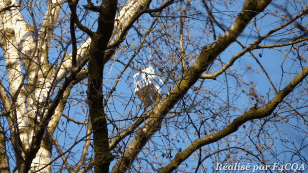 P1050046_m.gif