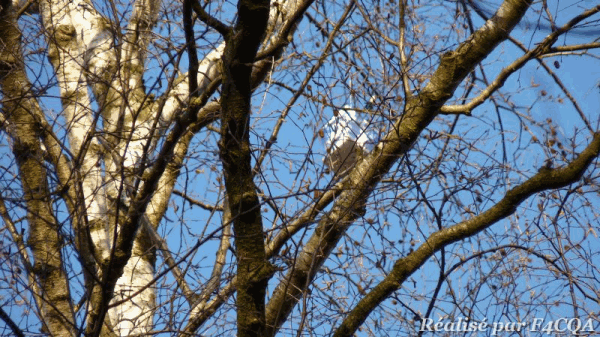 P1050047_m.gif