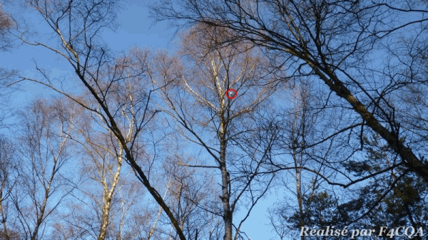P1050048_m.gif