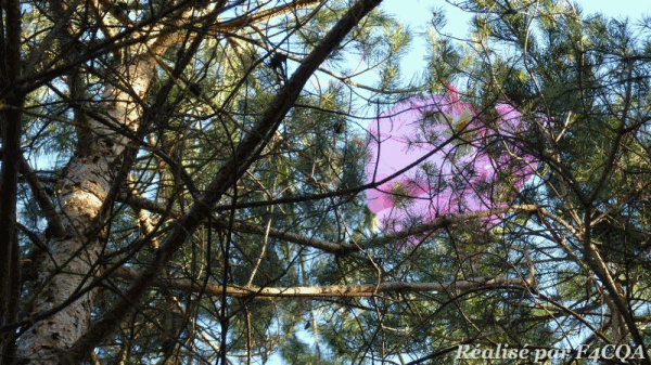 P1050049_m.gif
