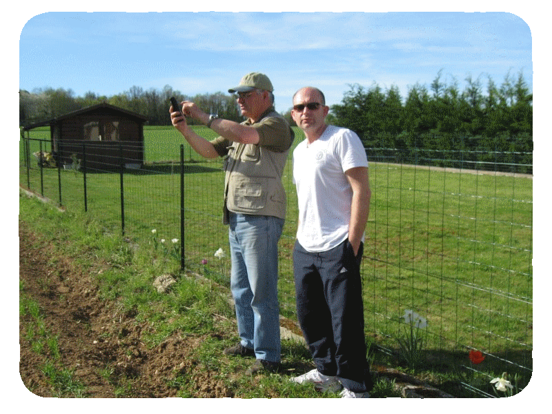 F1NVW_F4CQA.png