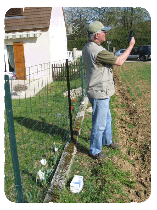 RS_12h_3.png