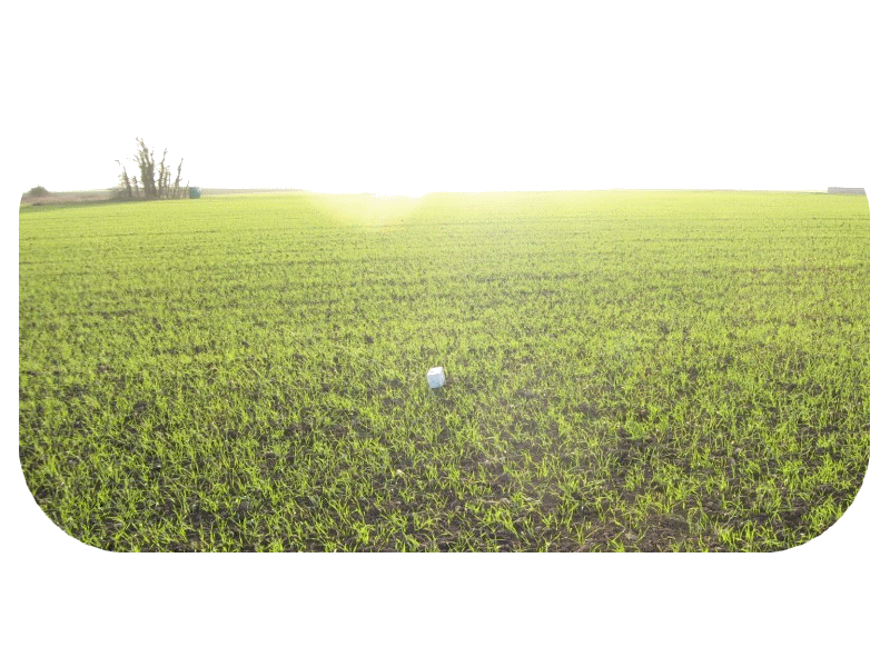 Terrains-balise.gif