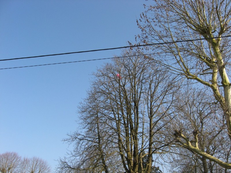 rs-12h-4.jpg