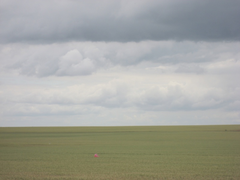 Rs_001.jpg
