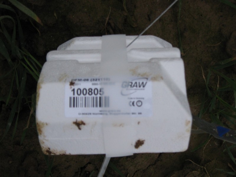 DFM_011R.jpg