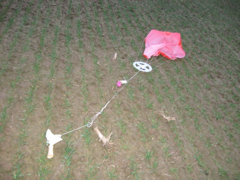 DFM_012R.jpg