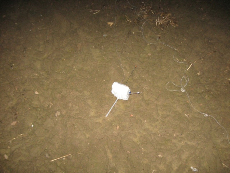 DFM_015R.jpg
