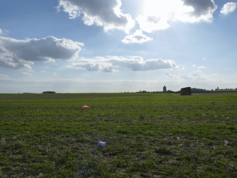 P1040197.gif