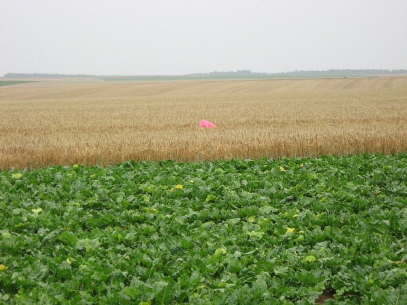 rs_du19_002.jpg
