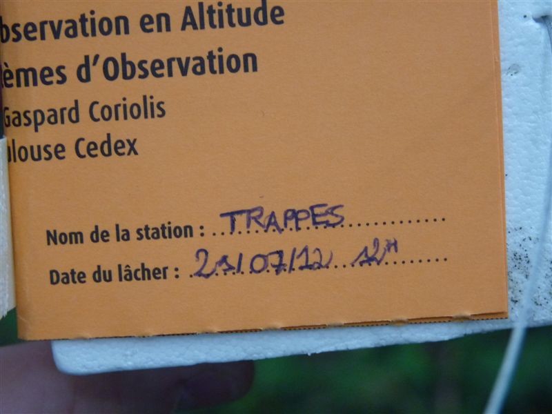 Carton-orange.jpg