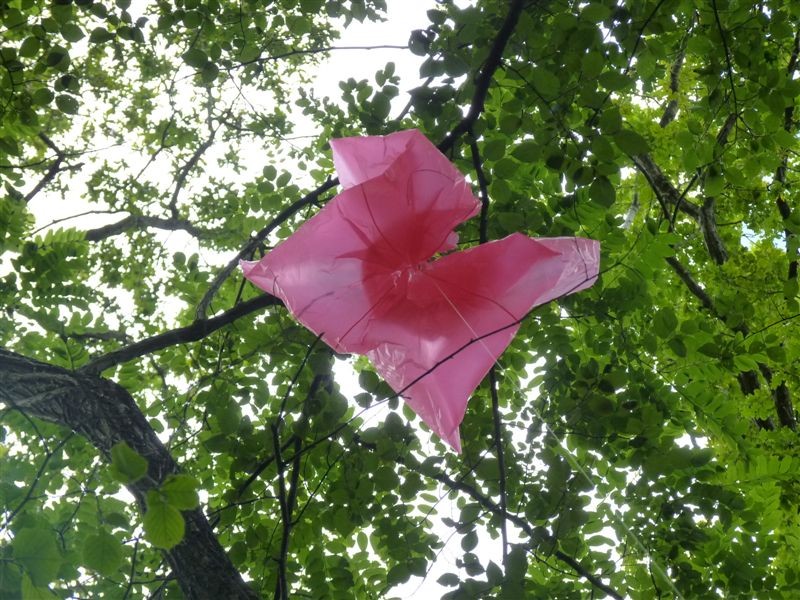 Parachute.jpg