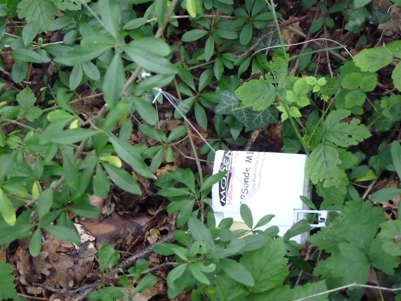 sonde.jpg