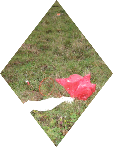 IMG_3453.gif