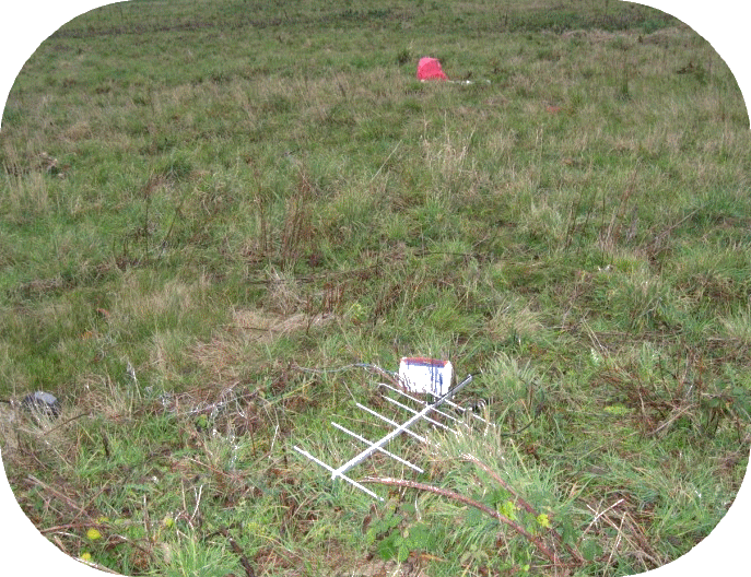 IMG_3458.gif