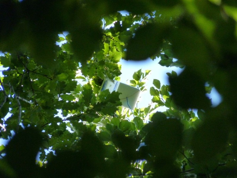 P1050674.jpg