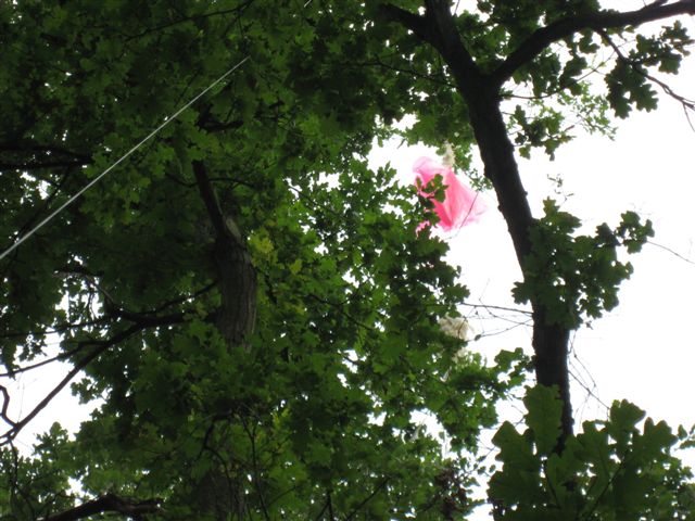 Photo_002.jpg