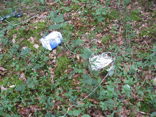Photo_003.jpg