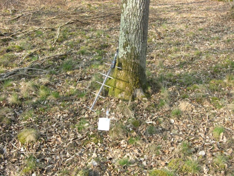 28-03-002.jpg