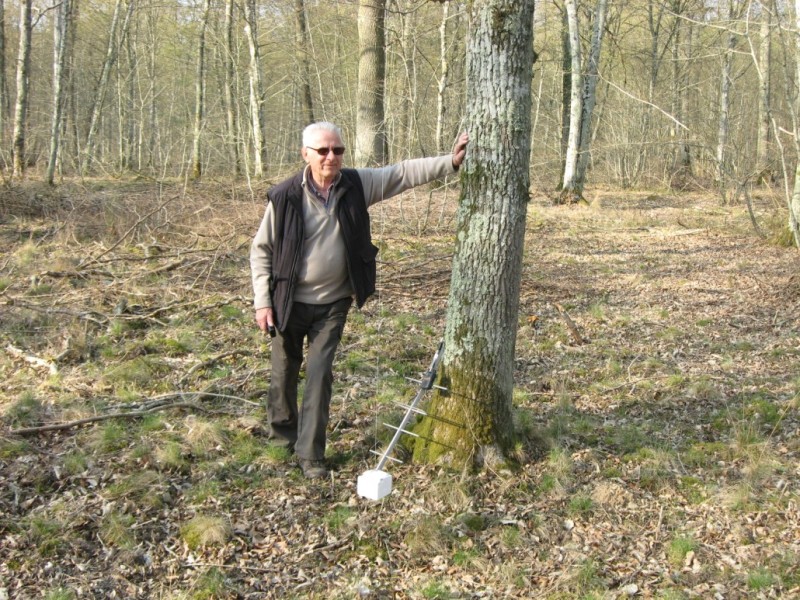 L-arbre-ne-tombera-pas.jpg