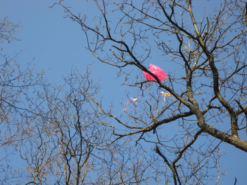 Parachute.jpg