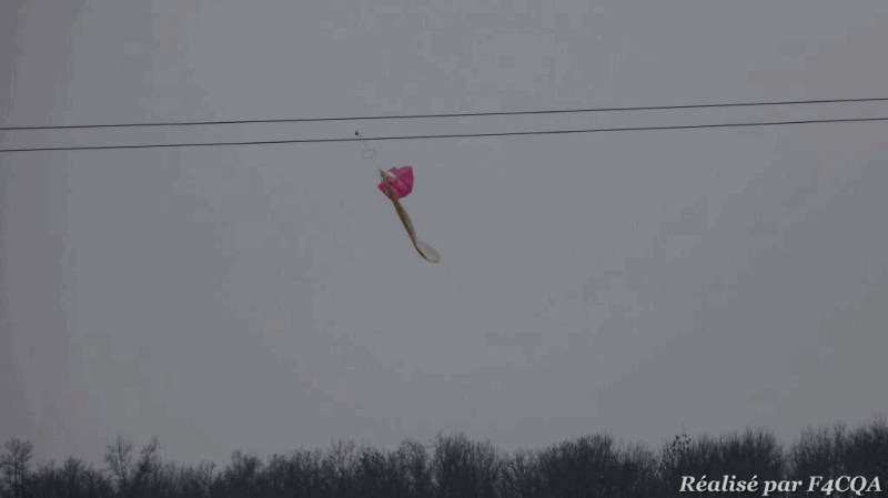 P1040976_m.gif