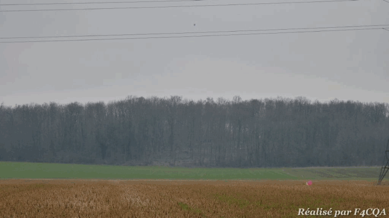 P1040977_m.gif