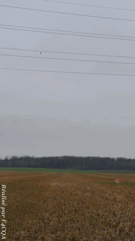 P1040978_m.gif