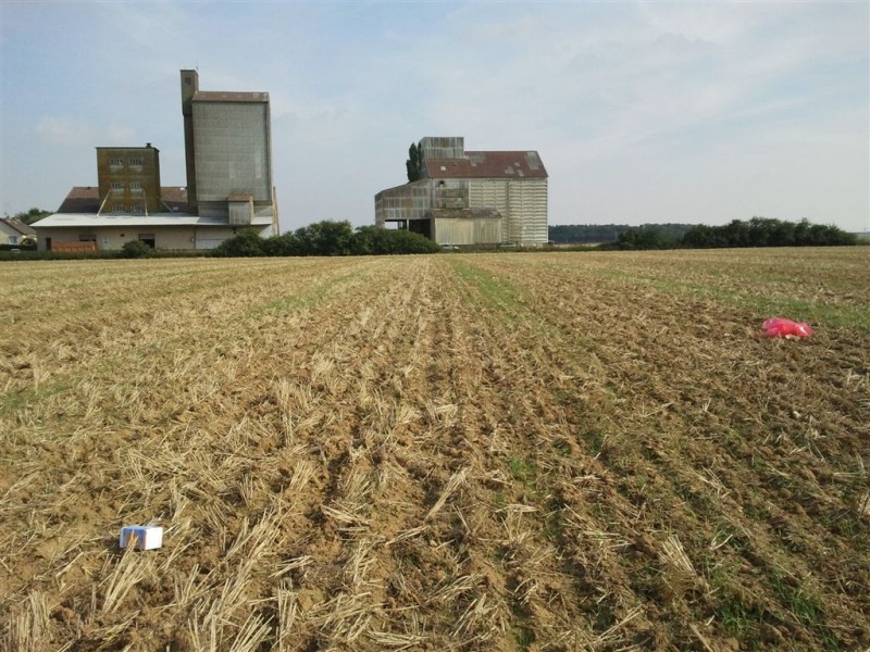 2011-07-29_1.jpg