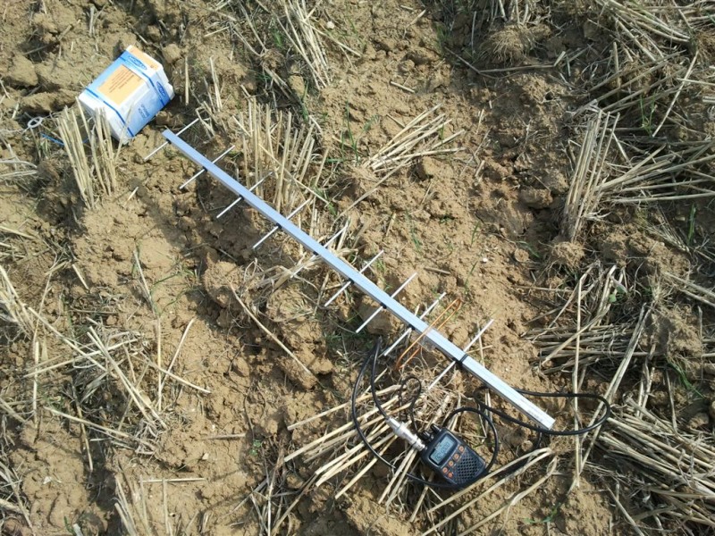 2011-07-29_3.jpg