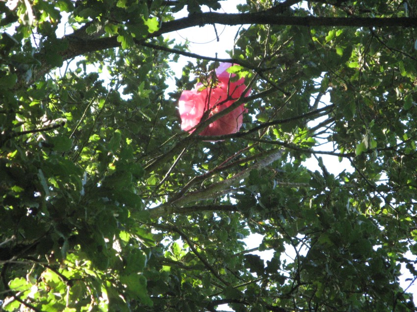 Parachute.jpg