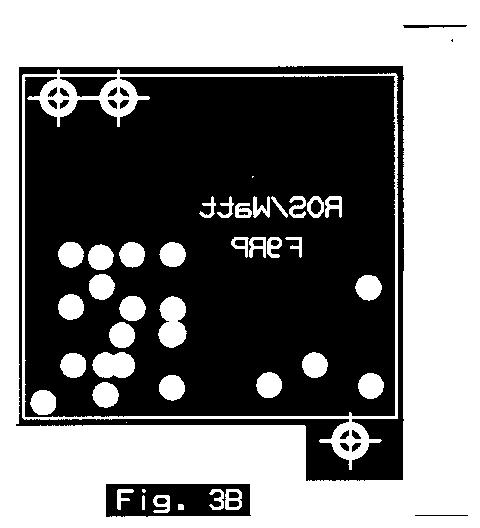fig3b.jpg
