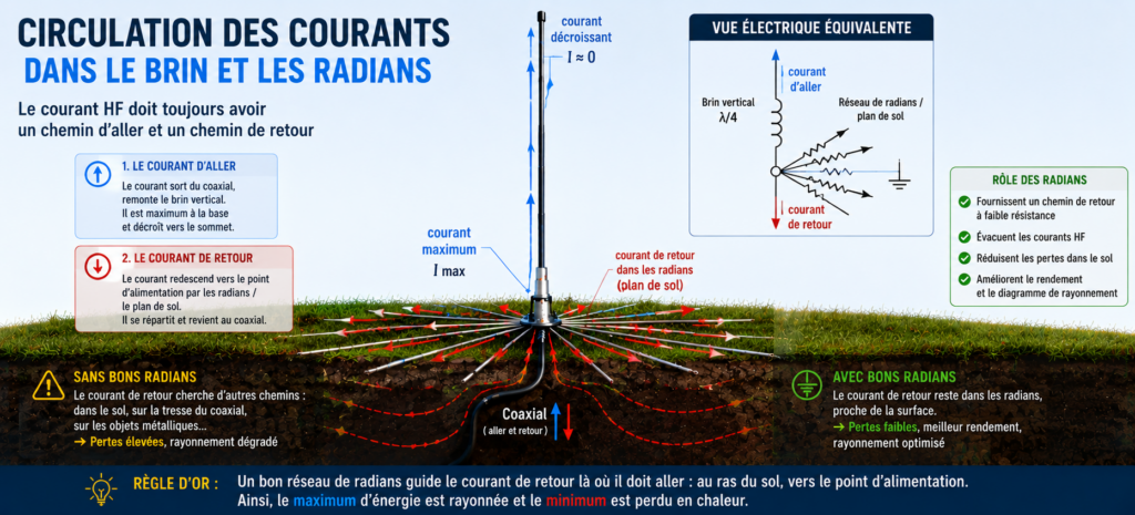Circulation des courants