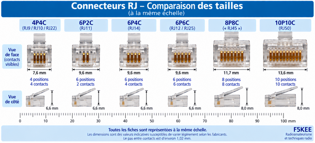 Comparatif des connecteurs RJ à l’échelle